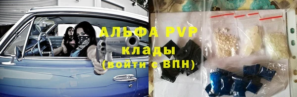 тгк Ладушкин