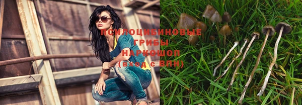 прущие грибы Абдулино