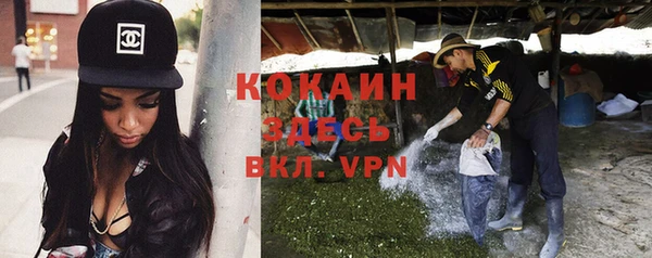 прущие грибы Абдулино