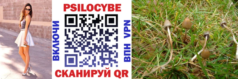 Псилоцибиновые грибы прущие грибы Апрелевка